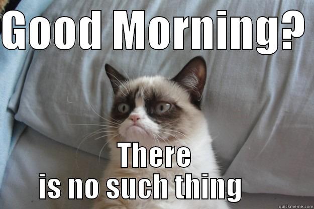 Good morning? o_o - GOOD MORNING?  THERE IS NO SUCH THING      Grumpy Cat