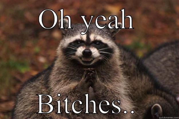 OH YEAH BITCHES.. Evil Plotting Raccoon