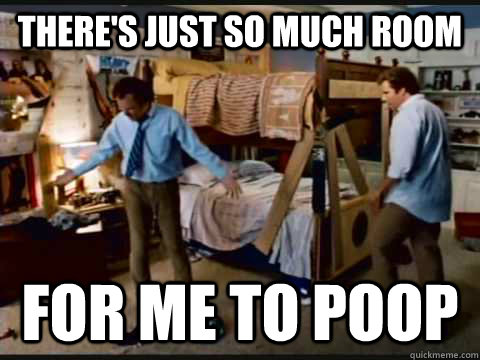 There's just so much room for me to poop   step brothers