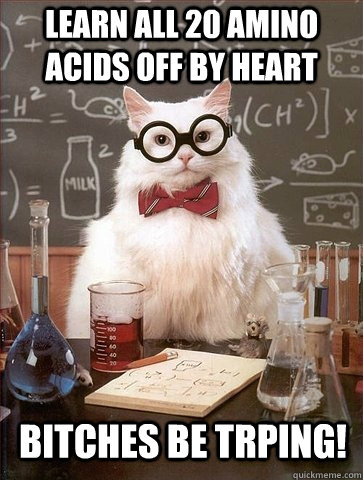 Learn all 20 amino acids off by heart bitches be trping!  Chemistry Cat