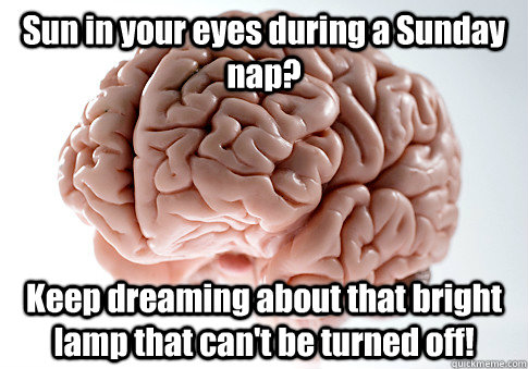 Sun in your eyes during a Sunday nap? Keep dreaming about that bright lamp that can't be turned off! - Sun in your eyes during a Sunday nap? Keep dreaming about that bright lamp that can't be turned off!  Scumbag Brain