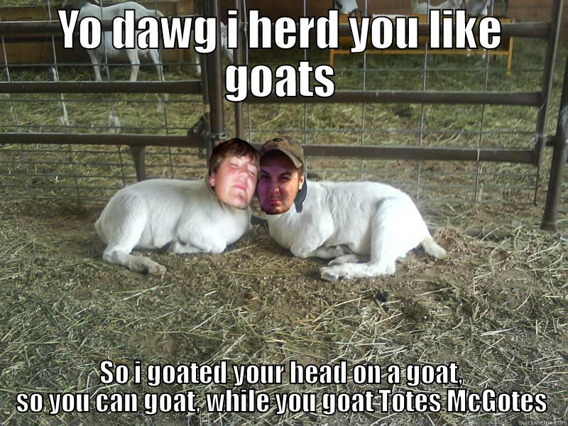 Goaty Goaty - YO DAWG I HERD YOU LIKE GOATS SO I GOATED YOUR HEAD ON A GOAT, SO YOU CAN GOAT, WHILE YOU GOAT TOTES MCGOTES Misc