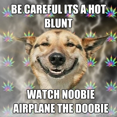 Be careful its a hot blunt watch noobie  airplane the doobie  Stoner Dog