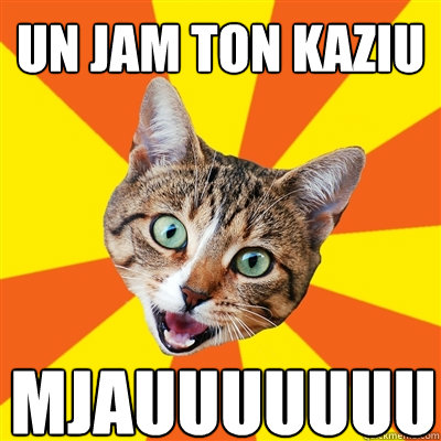 un jam ton kaziu mjauuuuuuuuuuuuuuuu  Bad Advice Cat