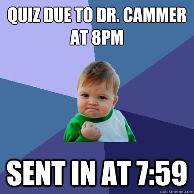 Quiz due to Dr. Cammer at 8pm sent in at 7:59  Success Kid