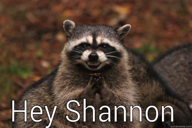  HEY SHANNON Evil Plotting Raccoon