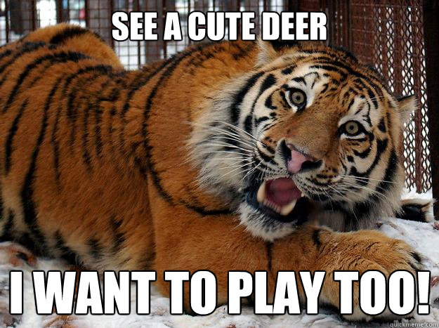 See a cute deer I want to play too!  Fascinated Tiger