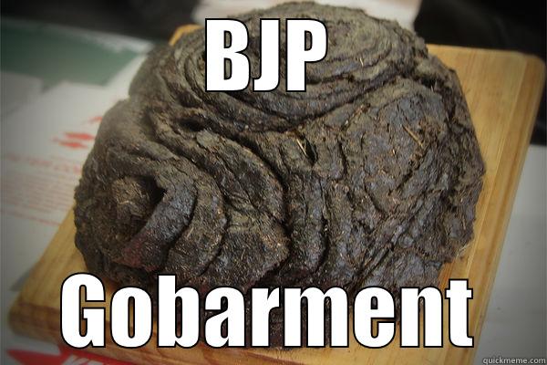 BJP GOBARMENT Misc