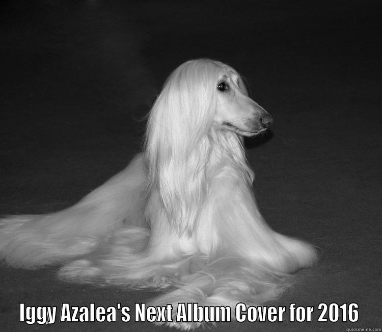  IGGY AZALEA'S NEXT ALBUM COVER FOR 2016 Misc