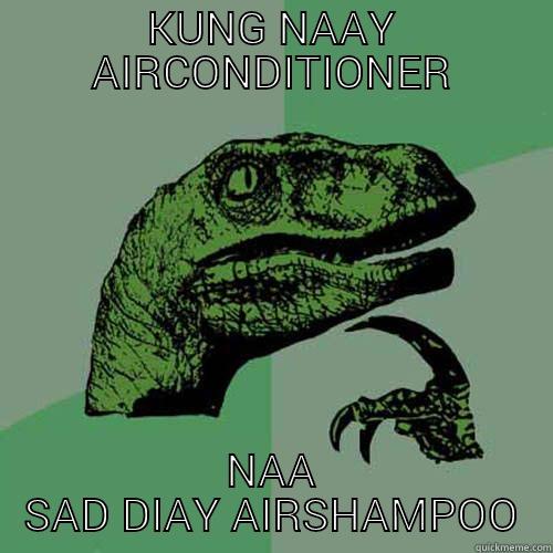 KUNG NAAY AIRCONDITIONER NAA SAD DIAY AIRSHAMPOO Philosoraptor