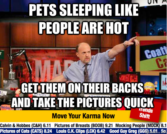 Pets sleeping like people are hot Get them on their backs and take the pictures quick - Pets sleeping like people are hot Get them on their backs and take the pictures quick  Mad Karma with Jim Cramer