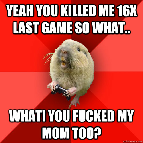 Yeah you killed me 16x last game so what.. What! You fucked my MOM too?  Gaming Gopher