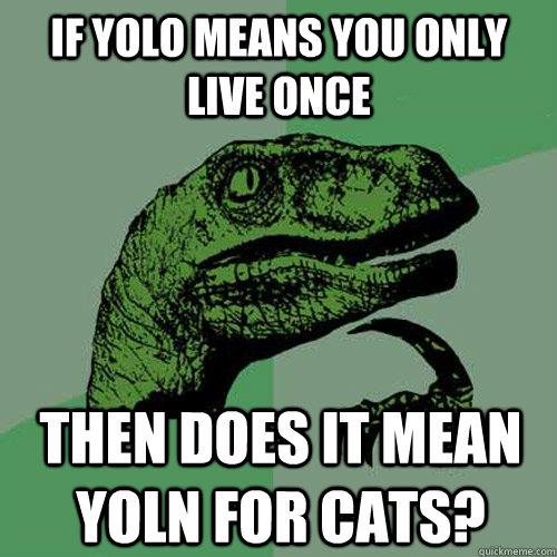 If yolo means you only live once  Then does it mean yoln for cats? - If yolo means you only live once  Then does it mean yoln for cats?  Philosoraptor