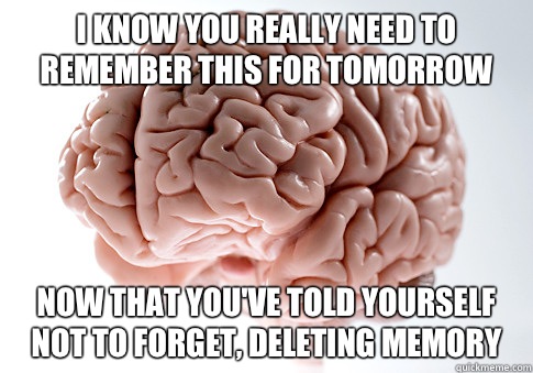 I know you really need to remember this for tomorrow Now that you've told yourself not to forget, deleting memory  Scumbag Brain