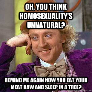 Oh, you think homosexuality's unnatural? Remind me again how you eat your meat raw and sleep in a tree?  Condescending Wonka