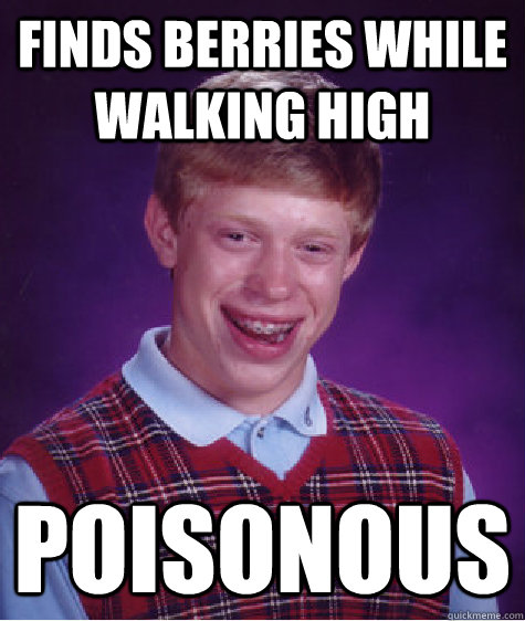 Finds berries while walking high Poisonous  Bad Luck Brian