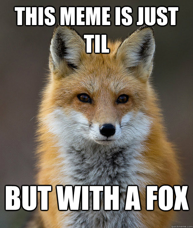 This meme is Just TIL but with a fox - This meme is Just TIL but with a fox  Fun Fact Fox