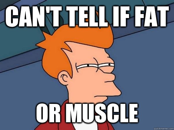 Can't tell if fat Or muscle  Futurama Fry