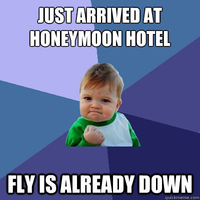 Just arrived at honeymoon hotel fly is already down - Just arrived at honeymoon hotel fly is already down  Success Kid