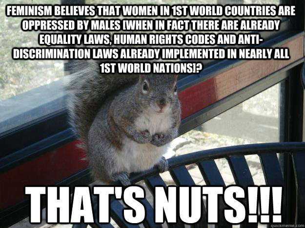 Feminism believes that women in 1st world countries are oppressed by males [when in fact there are already equality laws, human rights codes and anti-discrimination laws already implemented in nearly all 1st world nations]? That's Nuts!!!  