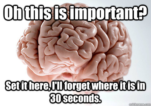 Oh this is important? Set it here, I'll forget where it is in 30 seconds.   Scumbag Brain