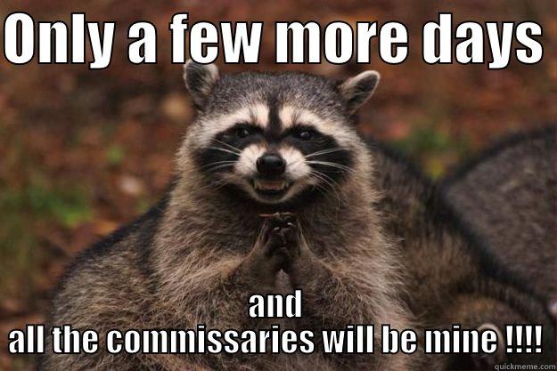 ONLY A FEW MORE DAYS  AND ALL THE COMMISSARIES WILL BE MINE !!!! Evil Plotting Raccoon