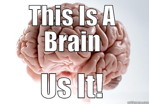 THIS IS A BRAIN US IT! Scumbag Brain