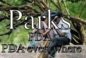 PARKS PDA, PDA EVERYWHERE Misc