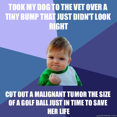 Took my dog to the vet over a tiny bump that just didn't look right Cut out a malignant tumor the size of a golf ball just in time to save her life - Took my dog to the vet over a tiny bump that just didn't look right Cut out a malignant tumor the size of a golf ball just in time to save her life  Misc