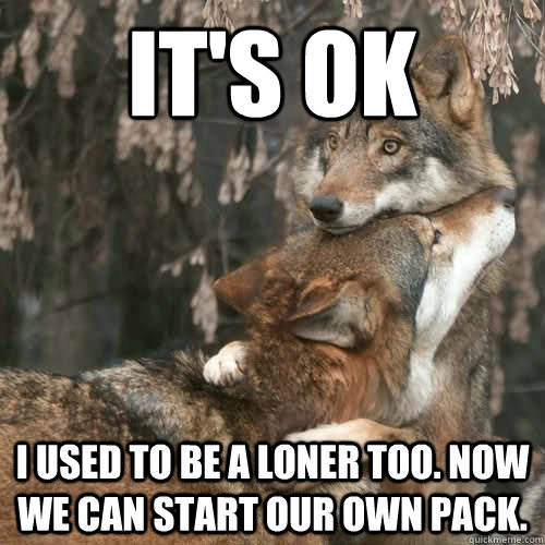 It's Ok I used to be a loner too. Now we can start our own pack. - It's Ok I used to be a loner too. Now we can start our own pack.  Comfort Wolf