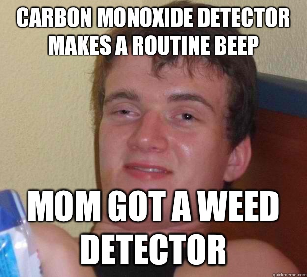 Carbon monoxide detector makes a routine beep Mom got a weed detector - Carbon monoxide detector makes a routine beep Mom got a weed detector  10 Guy