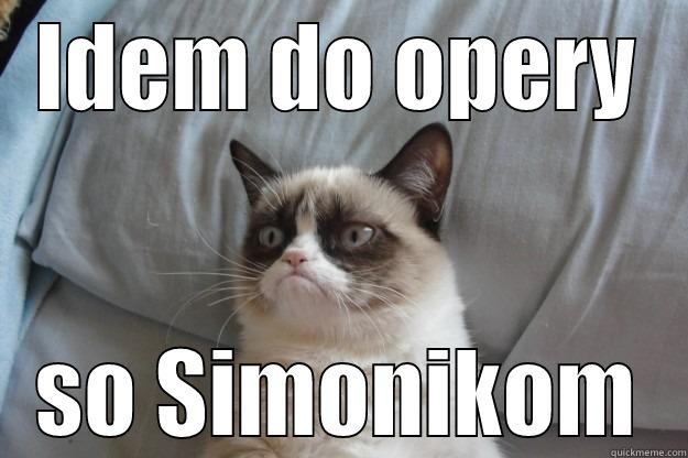 IDEM DO OPERY SO SIMONIKOM Grumpy Cat