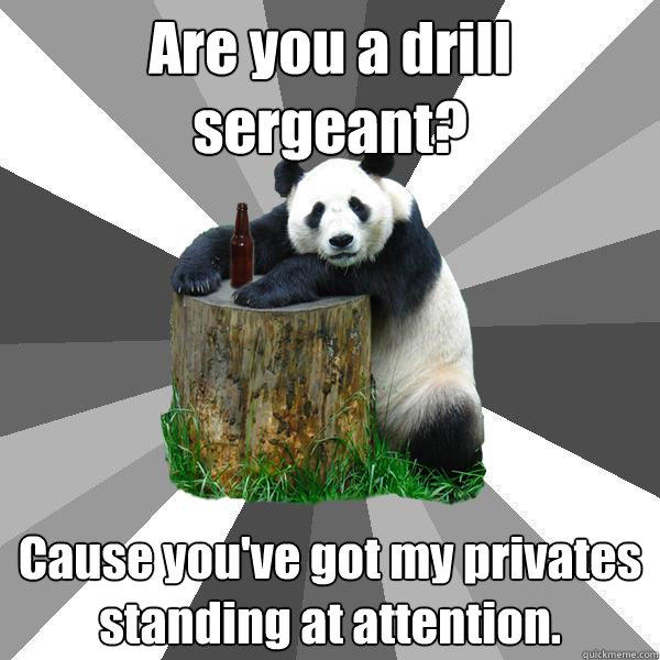 Are you a drill sergeant? Cause you've got my privates standing at attention.  