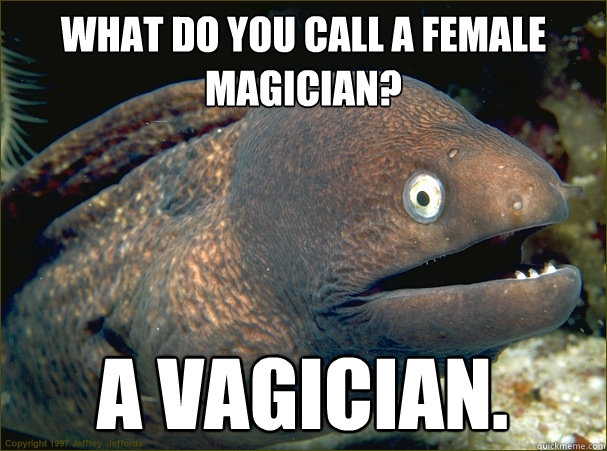 what do you call a female magician? a vagician.   Bad Joke Eel