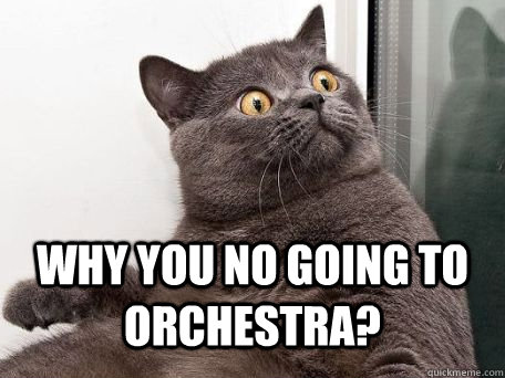  WHY YOU NO GOING TO ORCHESTRA?  conspiracy cat