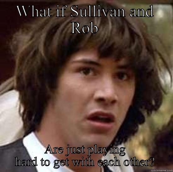 WHAT IF SULLIVAN AND ROB ARE JUST PLAYING HARD TO GET WITH EACH OTHER? conspiracy keanu