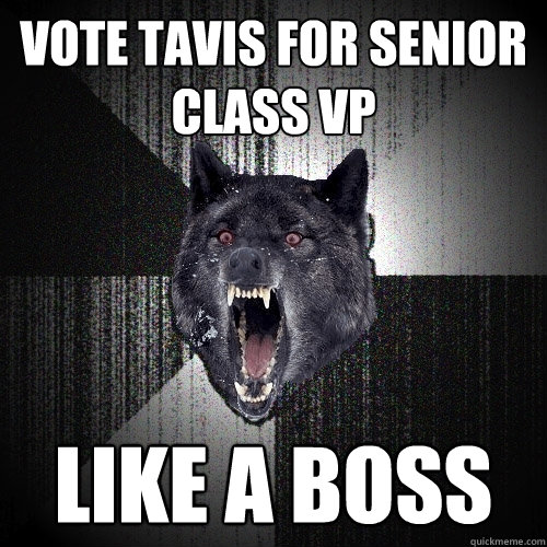 Vote Tavis for Senior Class VP Like a Boss  Insanity Wolf