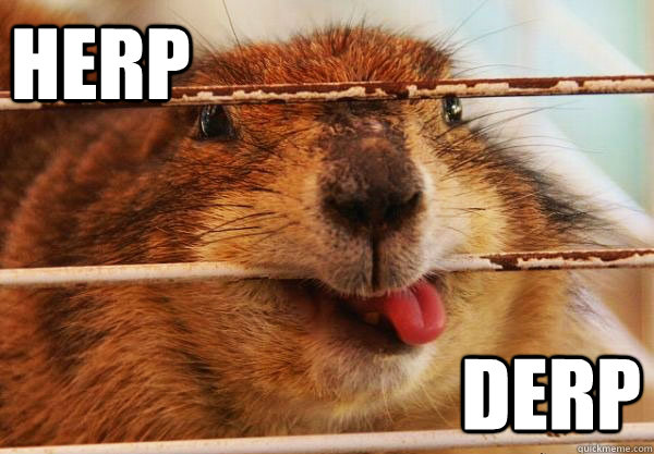 HERP DERP - HERP DERP  herpaderp gopher