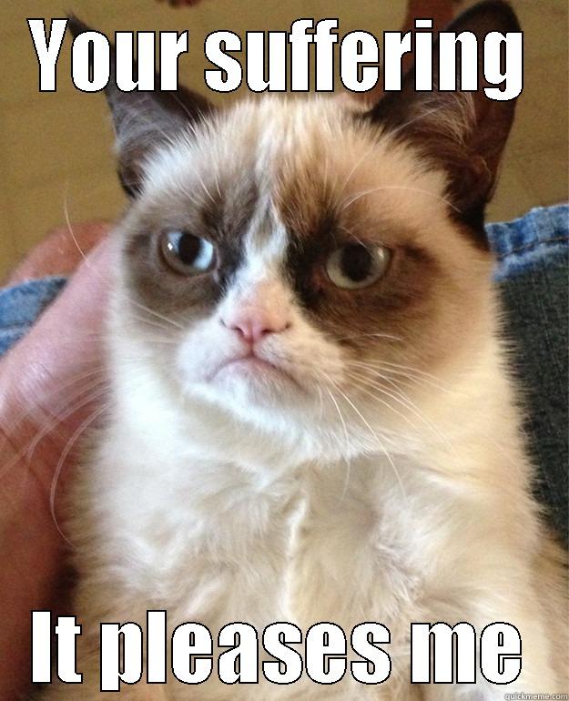 Suffer much for Grumpy - YOUR SUFFERING IT PLEASES ME Misc