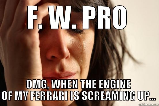 F. W. PRO OMG, WHEN THE ENGINE OF MY FERRARI IS SCREAMING UP... First World Problems