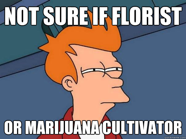 not sure if florist Or marijuana cultivator - not sure if florist Or marijuana cultivator  Futurama Fry