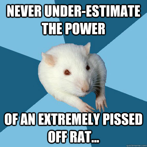 Never under-estimate the power Of an extremely pissed off rat...  Psychology Major Rat