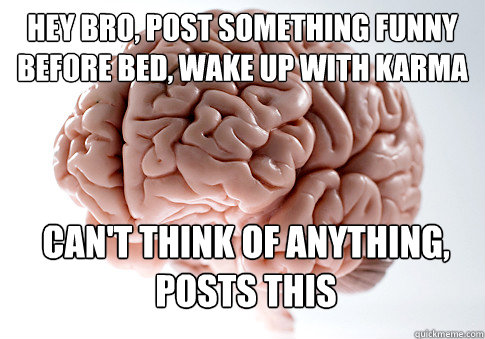 hey bro, post something funny before bed, wake up with karma  can't think of anything, posts this  Scumbag Brain