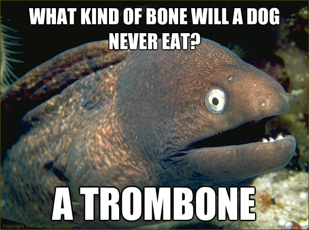 What kind of bone will a dog never eat? A Trombone  - What kind of bone will a dog never eat? A Trombone   Bad Joke Eel