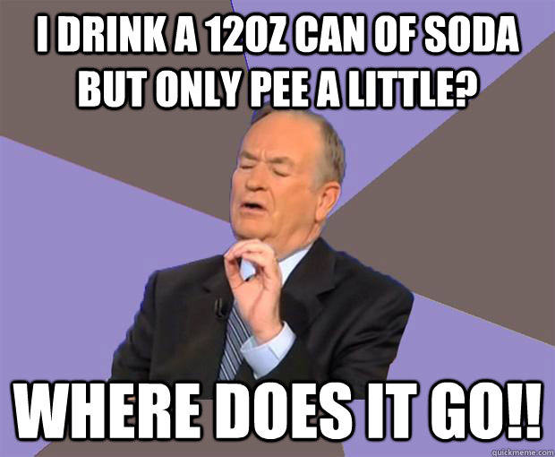 I drink a 12oz can of soda but only pee a little? Where does it go!! - I drink a 12oz can of soda but only pee a little? Where does it go!!  Bill O Reilly