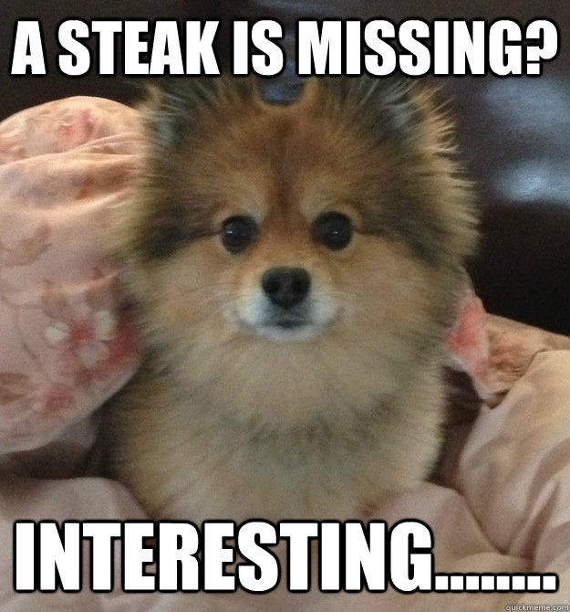 A steak is missing? Interesting........ - A steak is missing? Interesting........  Denial Dog