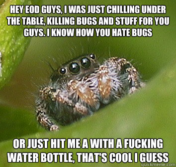 HEY EOD GUYS, I WAS JUST CHILLING UNDER THE TABLE, KILLING BUGS AND STUFF FOR YOU GUYS. I KNOW HOW YOU HATE BUGS OR JUST HIT ME A WITH A FUCKING WATER BOTTLE, THAT'S COOL I GUESS  Misunderstood Spider