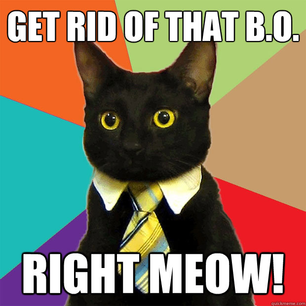 Get rid of that b.o. right meow!  Business Cat