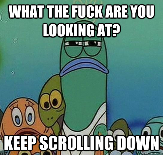 What the fuck are you looking at? keep scrolling down  Serious fish SpongeBob