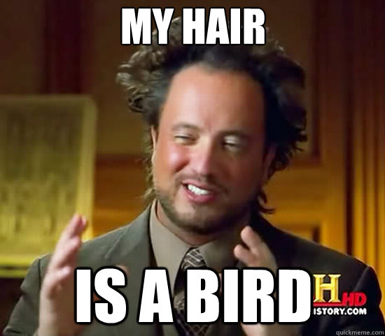 my hair is a bird - my hair is a bird  Ancient Aliens